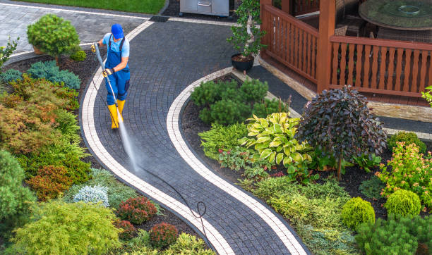 Best Pressure Washing Driveway  in Prosperity, SC
