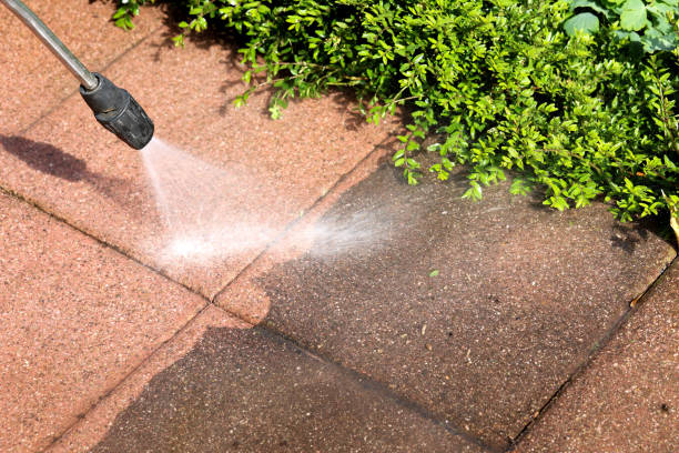 Best Exterior Home Cleaning  in Prosperity, SC